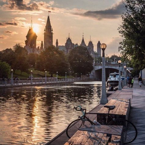 Different ways to experience the Rideau Canal in Ottawa Rideau Canal Ottawa, Ottawa City, Ottawa Travel, Urban Core, Parks Canada, Water Boat, Ottawa Canada, O Canada, Countries To Visit