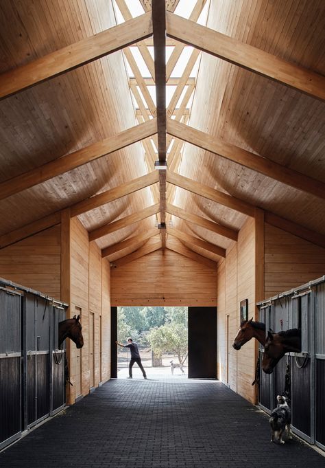 Elongated skylight illuminates Chilean stables by Matias Zegers Architects Curved Ceiling, Horse Barn Designs, Dream Horse Barns, Horse Barn Plans, Timber Architecture, Wooden Architecture, Horse Stable, Timber Buildings, Wood Architecture