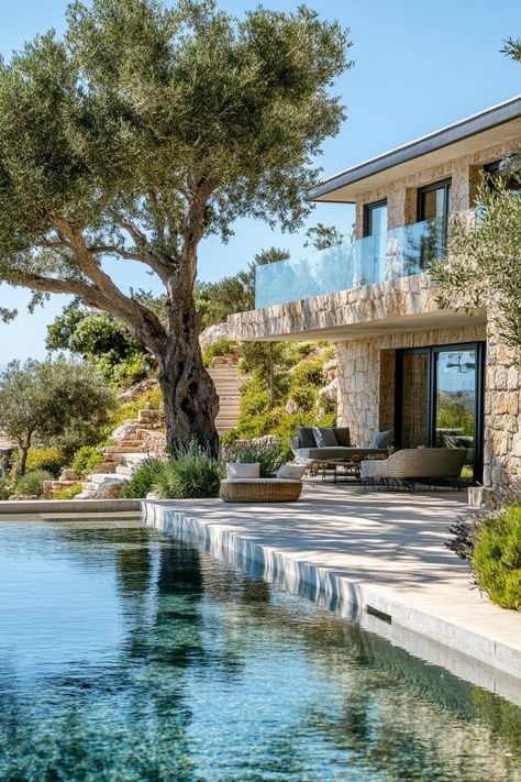 Dream Farm Homes, Trees Near Pool, Dream House With Pool, Luxury Villa Exterior, Greek Pool, Mediterranean House Exterior, Mediterranean Villa Design, Olive Tree Garden, Farm Pool