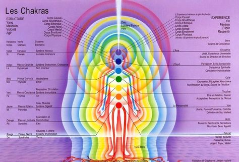 La structure énergétique de l'Être chakras et corps subtils Kundalini Yoga, Corps Éthérique, Chakra Chart, Usui Reiki, Anahata Chakra, Pranic Healing, Reiki Symbols, Les Chakras, 7 Chakras