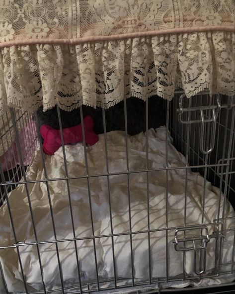 cage, dog cage, #aesthetic #grunge #emo #scene #pink #kawaii #cute #edgy #goth #petplay #puppygirl #catgirl Pet Play Dog Cage, Human Cage Aesthetic, Dog Cage Aesthetic, Dog Boy Aesthetic, Puppy Play Aesthetic, Little Safe Space Aesthetic, Puppycore Aesthetic, Cute Dog Crate, Puppy Boy Aesthetic