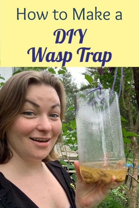 Wasp Trap Bait, Wasp Trap Diy, Homemade Wasp Trap, Wasp Catcher, Hornet Trap, Getting Rid Of Bees, Wasp Killer, Wasp Repellent, Get Rid Of Wasps