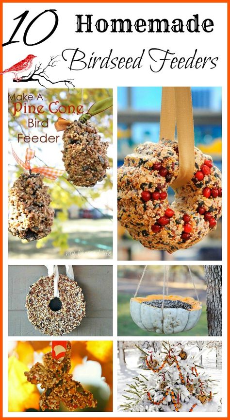 Here are some ideas for homemade birdseed feeders that are probably messy but fun for the whole family to make! Birdseed Feeders, Homemade Birdseed, Feeding Birds In Winter, Pine Cone Bird Feeder, Bird Seed Ornaments, Bird Seed Feeders, Homemade Bird Feeders, Bird Treats, Diy Bird Feeder