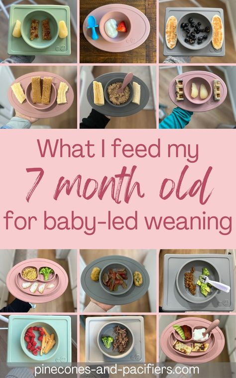 7 Month Old Baby Food, Baby Weaning Foods, 7 Months Baby Food, Baby Meal Plan, Baby Led Weaning First Foods, Baby Lunch, Baby Dinner, Weaning Foods, Baby Breakfast