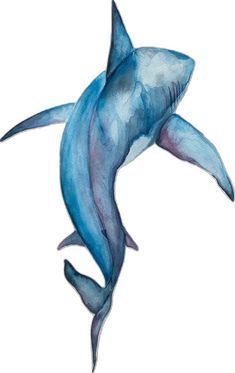 Ocean Art Painting, Shark Drawing, Color Drawing Art, Canvas Painting Designs, Watercolor Art Lessons, Great White Shark, Great White, Watercolor Sketch, Water Painting