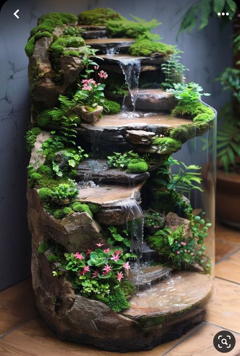 Build Your Own Terrarium, Rachel Talbott, Backyard Deck Ideas, Creative Backyard, Plants Beautiful, Indoor Water Garden, Diy Garden Fountains, Rock Garden Plants, Garden Waterfall