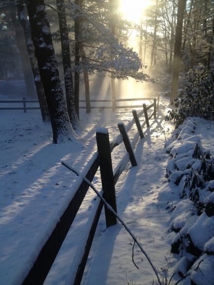 Snowy Morning, Country Fences, I Love Snow, Winter Love, Winter Light, Outdoor Christmas Lights, Winter Wonder, The Barn, Nature Images