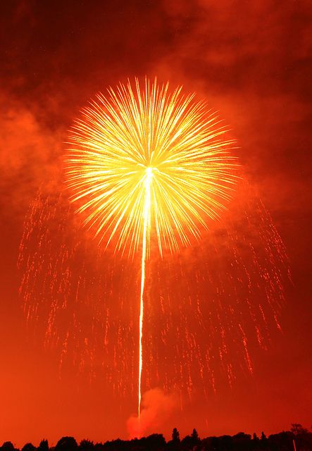 Firework Display by Spice ♥ Darling, via Flickr  Looks like a giant Dandelion : ) Light Branding, Photowall Ideas, Red Lights, Autumn Illustration, Block Colour, Jaune Orange, Orange Walls, Orange You Glad, Fireworks Display