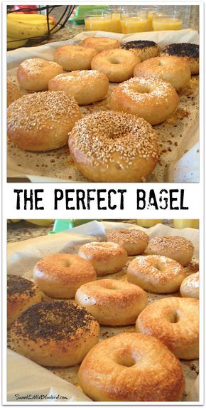 Bakery Ideas Recipes, Breakfast Baked Goods, Making Bagels, Best Baked Goods, Make Bagels, Baked Goods Recipes, Bagel Recipes, Bagels Recipe, Best Bagels