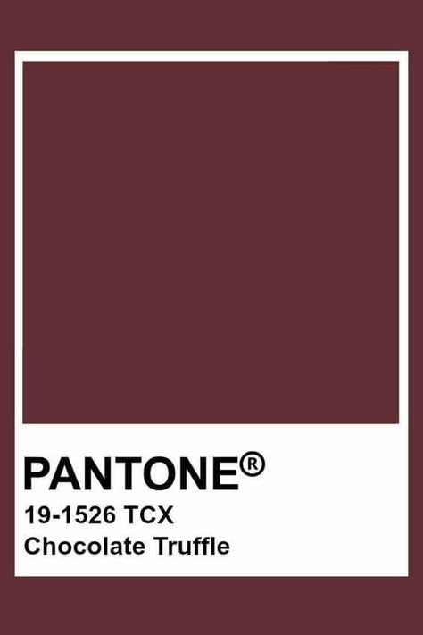 Pantone Chocolate, Brown Pantone, Pantone Tcx, Pantone Color Chart, Pantone Swatches, Pantone Palette, Pantone Colour Palettes, Chocolate Truffle, Deep Winter