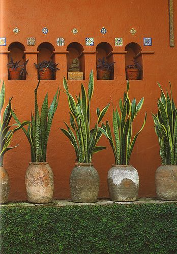 inspiration from mexican interior design, museo robert bra… | Flickr Mexican Interior Design, Mexican Garden, Mexican Interiors, Mexican Hacienda, Mexican Home Decor, Mexican Home, Hacienda Style, Mexican Designs, Mexican Decor