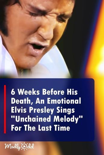 Song Singing, Elvis Presley Concerts, Elvis Presley Songs, Elvis Presley Videos, Elvis Sings, Elvis Presley Music, Country Music Songs, Great Song Lyrics, Unchained Melody