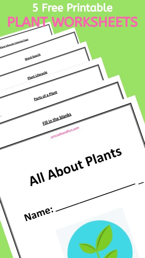 Rainforest Worksheets, Worksheet Tk, Printable Solar System, Solar System Worksheets, Biology Plants, Plants Worksheets, How Plants Grow, Plant Tissue, About Plants