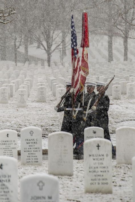 Arlington National Cemetery, Snow Falling, I Love America, National Cemetery, Proud To Be An American, Military Love, Semper Fi, American Flags, Us Marines