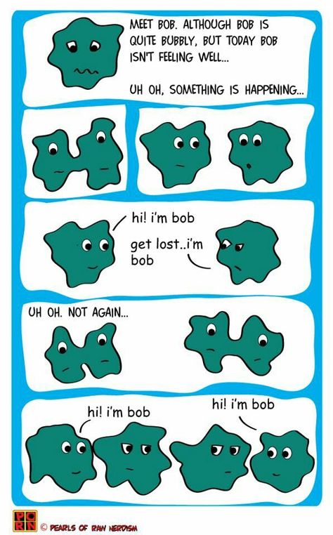 The curious case of binary fission and identity crisis...  HAHA great for cell division unit Biology Experiments, Science Cartoons, Science Comics, Biology Resources, Secondary Science, Middle School Lessons, Identity Crisis, Cell Division, Teaching Biology