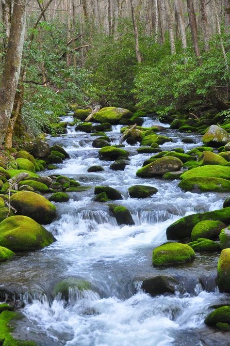 Waterfall Scenery, Smoky Mountains Cabins, On The Rocks, Beautiful Waterfalls, Jackson Hole, Beautiful Places In The World, Gatlinburg, Smoky Mountains, Most Beautiful Places