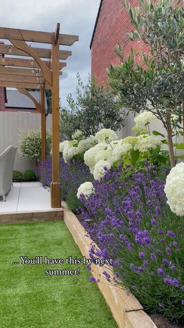 Lauren on Instagram: "From a non-gardener this is your sign to plant those flower beds. I had no idea what I was doing 12 months ago but if I can do it then so can you. 🙌🏻 🌱  This back border is olive trees, purple hebes, lavender, buxus and hydrangea Annabelle’s x  #flowerphotography #flowerborder #houseandgardenuk #gardenstyle #interiorslovers #gardeningideas #hydrangealove #hydrangeas #ukgardens #northfacinggarden #newbuildgardens #gardenandhome #plantsmakemehappy" Landscaping Front Yard Hydrangeas, Lavender Border Ideas, Garden Hydrangeas Landscape, Olive Tree Garden Landscapes, Hydrangea Border Design, Hydrangea Annabelle Border, Raised Border Planting Ideas, Hydrangea Front Garden, Lavender Border Garden