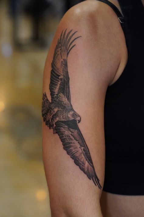 Looking for Black and Grey Fine Line and Single Needle Tattoos? Follow for the latest designs and tattoo reference inspiration @danielcollinsart 
#tattooinspiration #tattooideas #fineline #singleneedle #microrealism #tattoos #blackworktattoo #inked #blackandgrey #femaletattoo Half Eagle Tattoo, Australian Eagle Tattoo, Eagle Back Tattoo For Women, Eagle Arm Tattoo For Women, Shoulder Eagle Tattoo, Small Realism Tattoo Ideas, Boho Eagle Tattoo, Line Work Sleeve, Tattoo Design Wallpaper