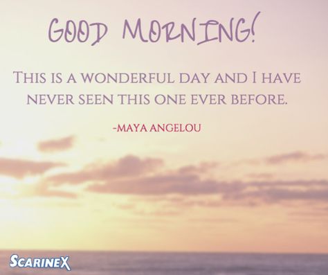 Today is a brand new day, who knows what it will bring! #DailyInspiration New Day Quotes, Brand New Day, Good Morning Greetings, Daily Inspiration Quotes, Morning Greeting, Daily Inspiration, Quote Of The Day, Good Morning, Favorite Quotes