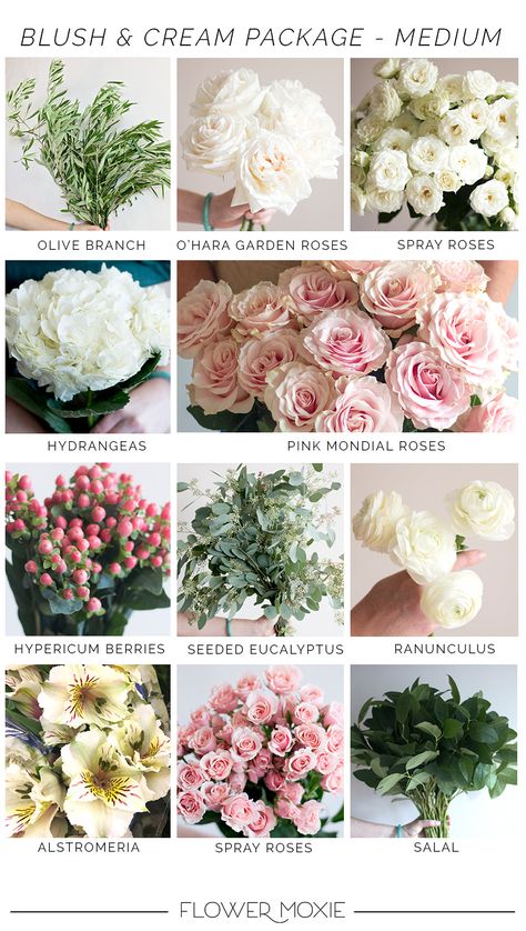 Blush and Cream DIY Flowers | DIY Wedding Flowers | Flower Moxie Diy Budget Wedding, Blush Wedding Centerpieces, Flower Moxie, Wholesale Flowers Wedding, Light Pink Wedding, White Ranunculus, Wedding Flower Packages, Blush Wedding Flowers, Flower Guide