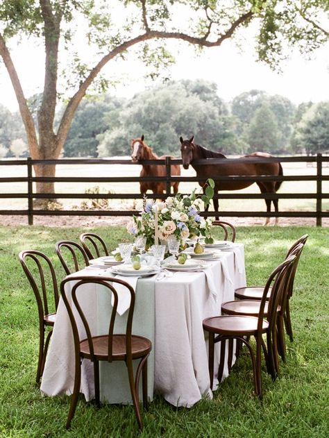 Equestrian Wedding, Horse Wedding, Modern Wedding Venue, Eventing Horses, Wedding Venue Houston, Cowboy Wedding, Equestrian Estate, Horse Ranch, Travel Shopping