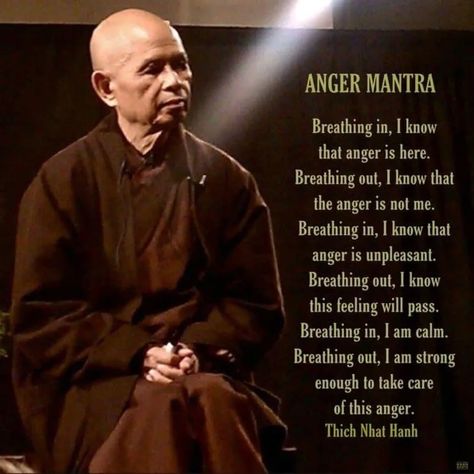 @tousterhout on The Mighty: Anger Mantra Control Your Emotions, Thich Nhat Hanh Quotes, Buddhist Wisdom, Buddha Quotes Inspirational, Buddhism Quote, Buddhist Quotes, Thich Nhat Hanh, Buddha Quotes, Anger Management