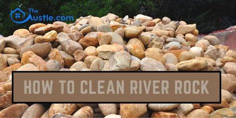 River rocks are the beauty of nature. It is important to clean properly and sanitize before use. learn how to clean river rock from this post. Rock Steps, Stream Bed, River Pebbles, Mexican Beaches, Antibacterial Soap, River Rocks, The Beauty Of Nature, Best Rock, House Plants Indoor