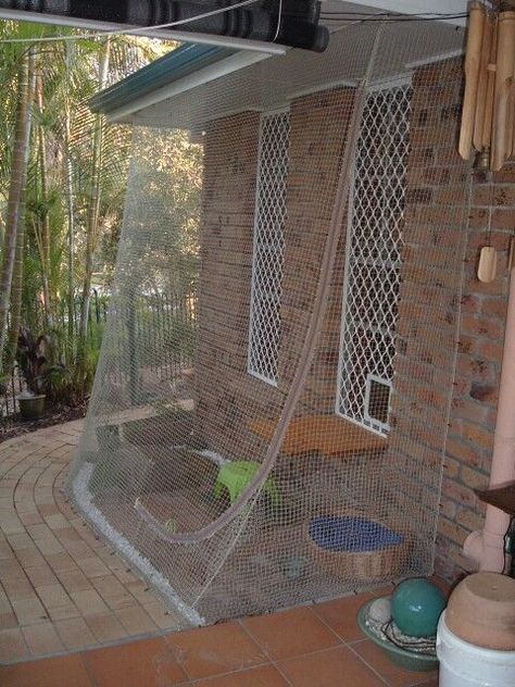 Here's a simple method for creating an effective outdoor cat fence enclosure under $50 Outside Cat Enclosure, Diy Cat Enclosure, Katt Diy, Katt Grejer, Chat Diy, Cat Fence, Cat Patio, Outdoor Cat Enclosure, Cat Proofing