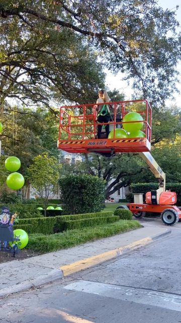 Turtle Creek Lane Halloween, Turtle Creek Lane Christmas, Turtle Creek Lane, Turtle Creek, Halloween Diy, Halloween Decorations, Witch, Halloween, Christmas