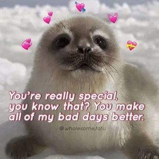 Images To Send To Your Crush, Wholesome Pictures For Him, Wholesome Facts, Wholesome Texts, Wholesome Images, Wholesome Love, Cute Wholesome, Wholesome Pictures, Cute Love Memes