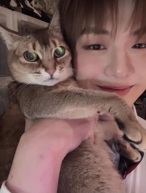 Kang Daniel Boyfriend Material, Daniel Kang, Danny Boy, Daniel K, Going Solo, Kang Daniel, Hug You, Pretty Men, Boyfriend Material