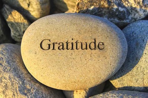 6 Daily Habits of Gratitude That Will Attract More Abundance and Joy into Your Life Gratitude Day, Gratitude Meditation, Thanksgiving Prayer, Jack Canfield, Karma Yoga, Daily Gratitude, Attitude Of Gratitude, Grateful Heart, Practice Gratitude