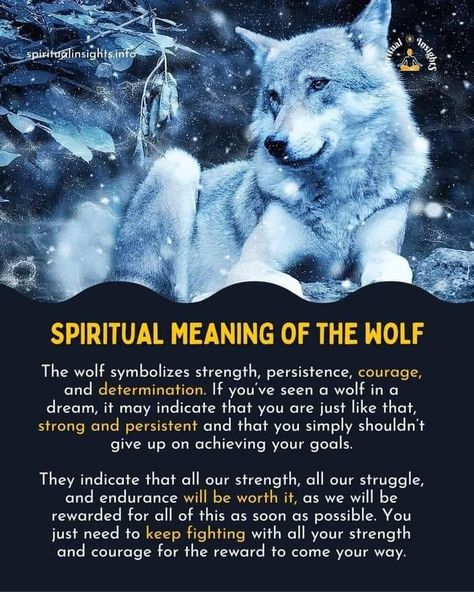 Wolf Symbolism Meaning, Wolf Spirit Guide, Spiritual Wolf Tattoo, Wolf Magic Begin Now, Element Animals, Wolf Meaning, Animal Mythology, Wolf Symbolism, Medium Psychic