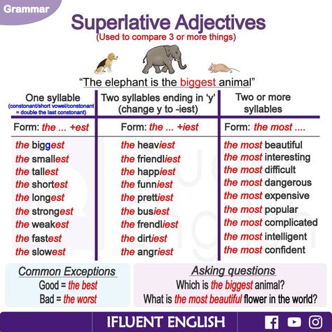 Superlative Adjectives Adjectives Grammar, English Adjectives, خريطة ذهنية, English Grammar Rules, Grammar Quiz, English Teaching Materials, Superlative Adjectives, Comparative Adjectives, Teaching English Grammar