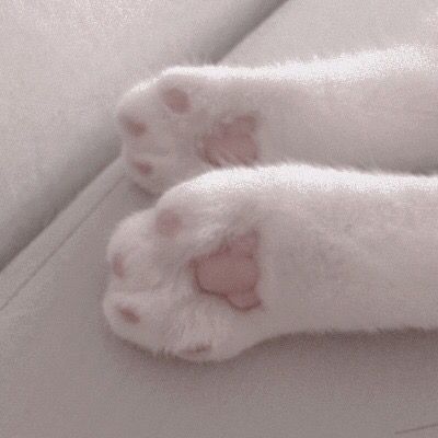 #aesthetic #cats #paws #pink #fluffy Soft Grunge, 패턴 배경화면, Cat Aesthetic, Cat Paws, White Aesthetic, Pastel Aesthetic, 귀여운 동물, Softies, Pink Aesthetic