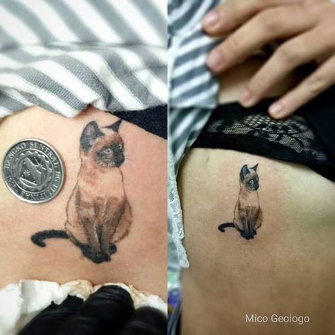 Siamese Cat Tattoo Siamese Cat Tattoo, Siamese Cat Tattoos, Minimalist Cat Tattoo, Cats Siamese, Cat Tattoo Design, Sagittarius Tattoo, Cat Tattoos, Cat Tattoo Designs, Cats Kittens