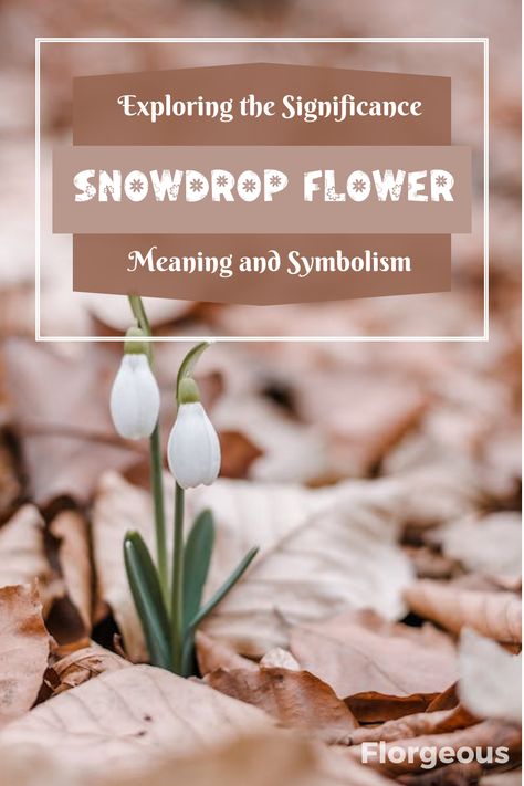 Discover the intriguing Snowdrop flower meaning and symbolism. Uncover the deep significance of these blooms, symbolizing hope, purity, and rebirth. Explore cultural and historical associations, and learn how to cultivate and care for Snowdrops in your garden. Explore the enchanting stories behind these early spring flowers. Snowdrop Flower Tattoo, Early Spring Flowers, Flower Meanings, Carnation Flower, Cover Up Tattoo, Hope Symbol, Different Flowers, Growing Flowers, Birth Flowers