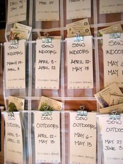 Organisation, Seed Organization, Seed Organizer, Organize Seeds, Botanical Interests, Gardening Food, Garden Organization, Seed Catalogs, Garden Veggies