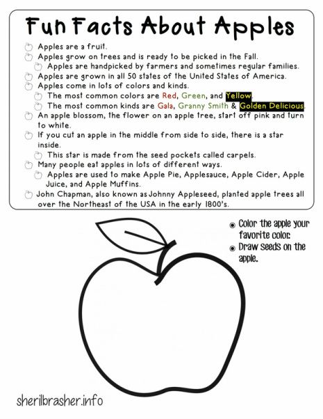 Preschool Printables: Fun Facts About Apples #activities #theme #unit Apples Prek, Apples Activities, Fall Facts, Apple Facts, Printables Fun, Phonics Reading Passages, September Crafts, Preschool Crafts Fall, Apple Preschool