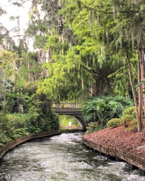 Your Guide to a Perfect Afternoon on Park Avenue Winter Park Italian Date Night, Hiking In Florida, Outdoor Dates, Loews Portofino Bay Hotel, Orlando Activities, Lake Eola, Winter Park Florida, Orlando Parks, Italian Restaurants