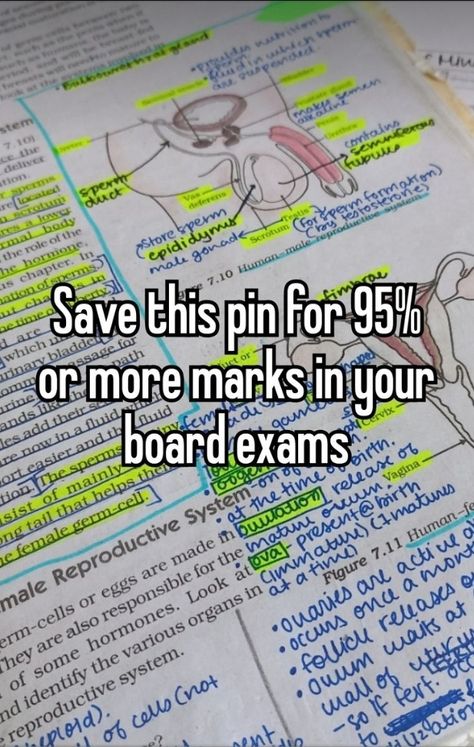 #study #academics #95% #academicvalidation #academia #marks #academicyear #studentyear #book #science 10th Board Exam Tips, 10th Boards, Aesthetic Notes Study Inspiration, School Manifestation, Good Luck For Exams, Geography Notes, Smart Study, Studie Hacks, You Are My Moon