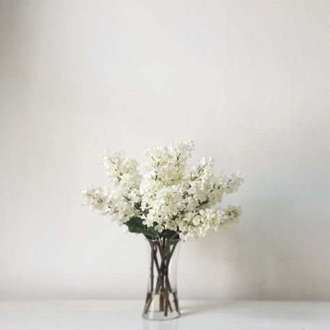 Simplessence: Ash Nayler White Lilac, Lilac Flowers, Beautiful Blooms, Flowers Nature, Ikebana, Plant Life, Cut Flowers, My Flower, Fresh Flowers