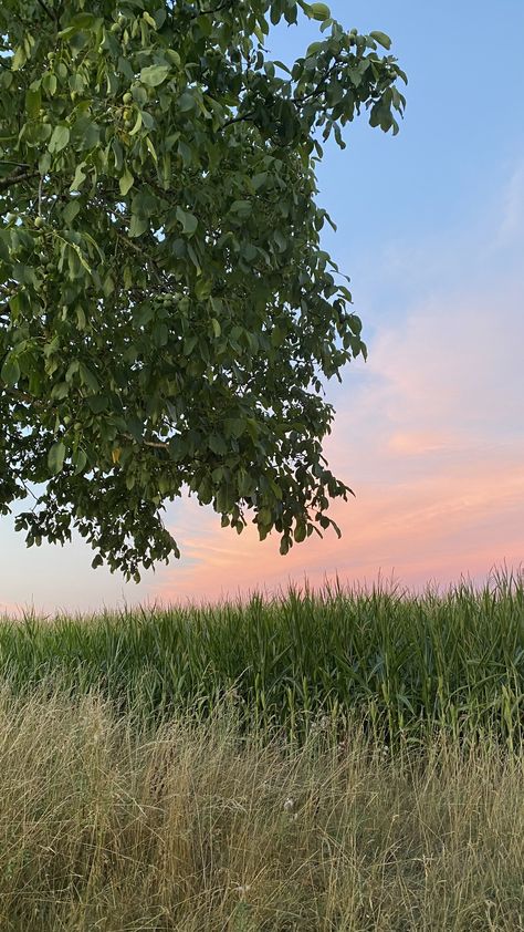 Germany Summer Aesthetic, Germany Aesthetic Summer, Slow Summer Aesthetic, Warm Summer Aesthetic, Summer In The Country, Summer In The South, Germany Summer, Faerie Aesthetic, Aesthetics Nature