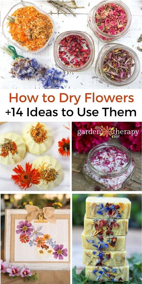 How To Dry Flowers, Dried Flowers Crafts, Pressed Flowers Diy, Dried Flower Petals, Kerajinan Diy, Dried Flowers Diy, Flower Pedals, Garden Therapy, Pressed Flower Crafts