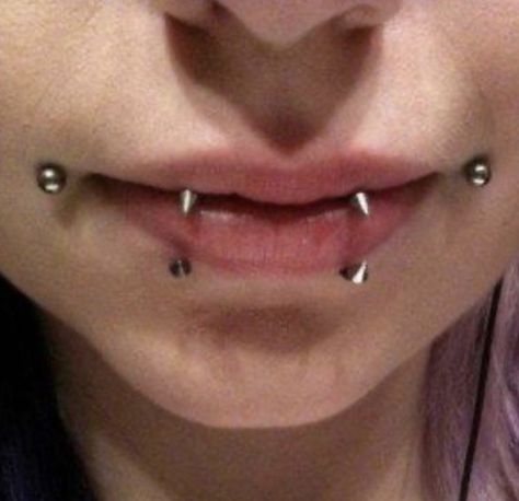 Joker Bites Piercing, Spike Snake Bites, Kitty Fangs Piercing, Raccoon Bites Piercing, Spike Helix Piercing, Snakebite Jewelry, Kitty Bites Piercing, Snake Bite Jewelry, Fang Piercing