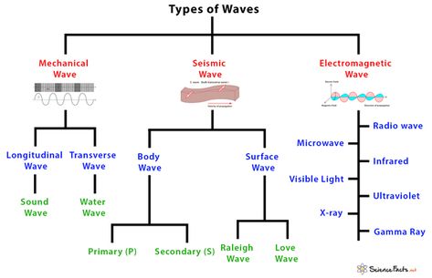 Types of Waves: Characteristics and Examples Types Of Waves Science, Seismic Waves Activity, Waves In Physics, Thermodynamics Chemistry, Physics Waves, Optics Physics, Types Of Engine, Substitute Teacher Tips, Seismic Waves