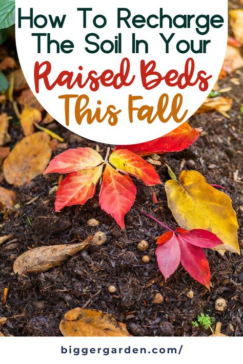 Learn how to recharge the soil in your raised beds this fall with our garden prepping tips. Discover garden remedies and techniques for vegetable garden raised beds, including backyard vegetable gardens and garden compost. Perfect for vegetable garden DIY and raised garden beds DIY to enhance your magic garden and grow healthy garden veggies. How To Winterize Raised Garden Beds, Fall Garden Prep, Raised Garden Bed Soil, Winterize Garden, Garden Backyard Ideas, Growing Zucchini, Growing Cilantro, Fall Prep, Garden Prepping