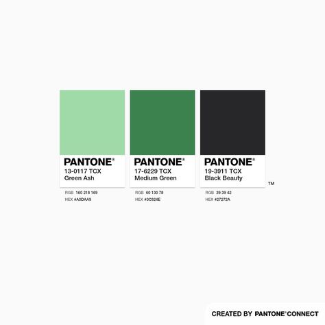 Green Ash, Medium Green & Black Beauty Pantone Green, Pantone Color Chart, Monochrome Palette, Color Pallete, Green Ash, Green Colour Palette, User Experience Design, Colour Combinations, Experience Design