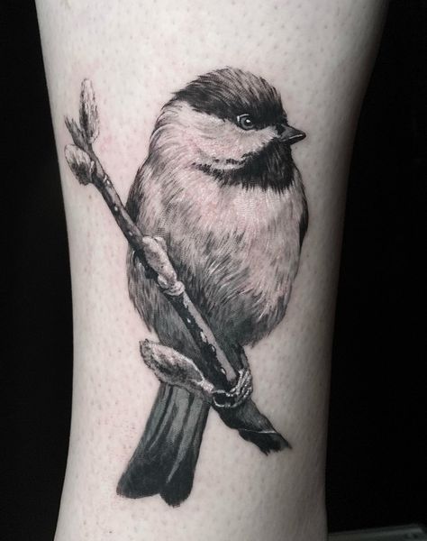 This realistic black and grey tattoo of a bird perched on a branch was done by @jenskinart. Jen provided amazing details, such as the white highlights and the gradation of black, grey, and white. Bird Tattoo Black And White, Realistic Bird Tattoo, Chickadee Tattoo, White Bird Tattoos, Bird Tattoo Sleeves, Little Bird Tattoos, Wildlife Tattoo, Black And Grey Tattoo, Mama Tried