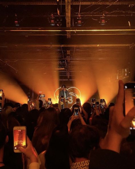 Fall Concert Aesthetic, Orange Concert Aesthetic, Golden Music Aesthetic, Sammycore Aesthetic, Orange Music Aesthetic, Indie Concert Aesthetic, Small Concert Aesthetic, Band Concert Aesthetic, Indie Music Aesthetic